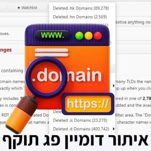 דומיין פג תוקף