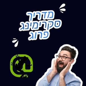 סקרימינג פרוג - Screaming Frog