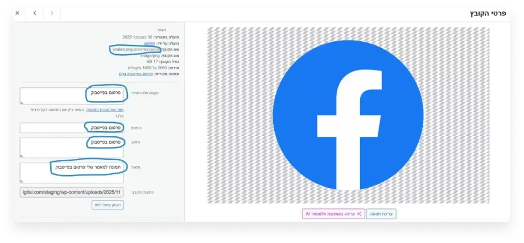קידום אורגני כיצד להעלות תמונה באופן נכון