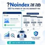 מה זה Noindex ואיך הוא משפיע על SEO, עם המחשה של דפים שנכנסים לאינדקס גוגל לעומת דפים שחסומים לאינדוקס.