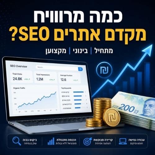 כמה מרוויח מקדם אתרים SEO